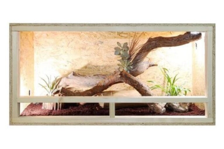 vivarium per rettili