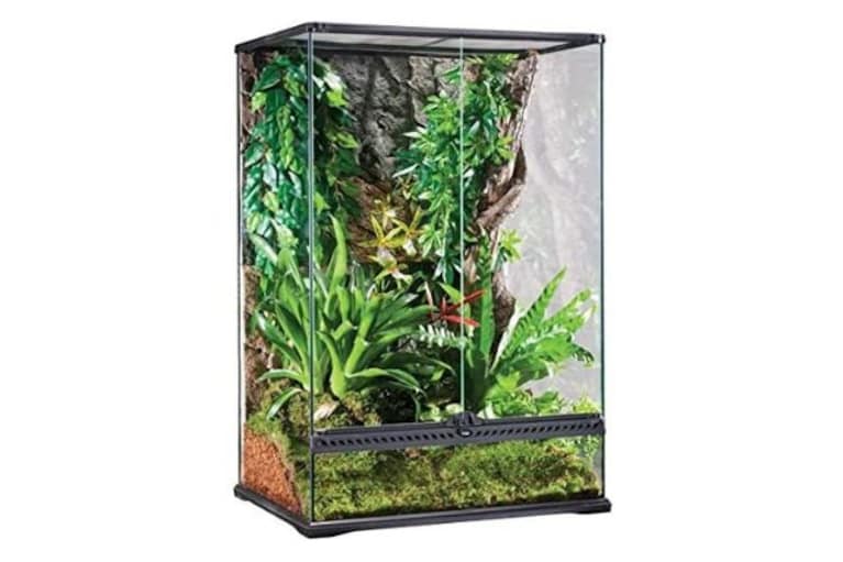 Exo Terra Terrario in Vetro