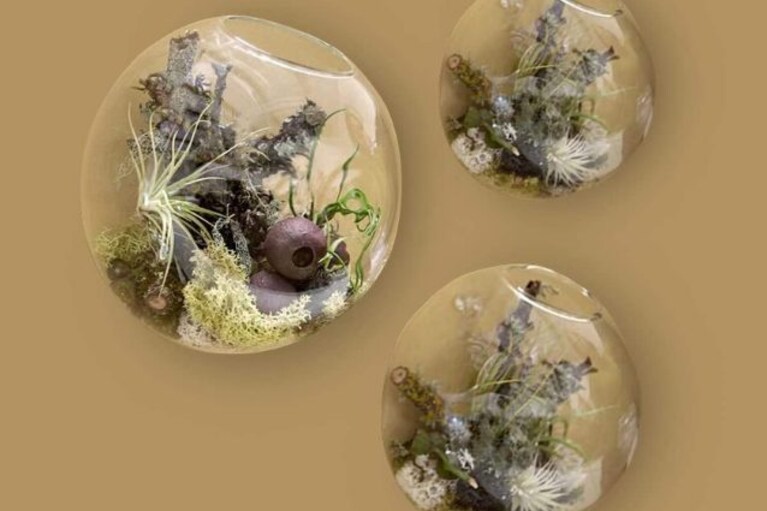 KnikGlass Set di 3 terrari&nbsp;