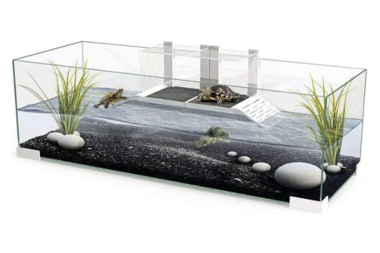 Ciano Tartarium&nbsp;