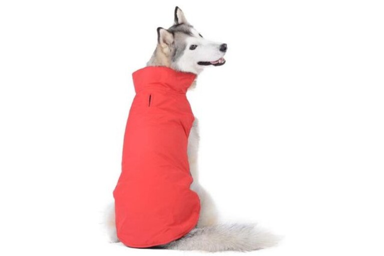 cappottino per cani grandi