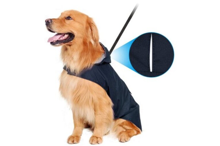 impermeabile per cani