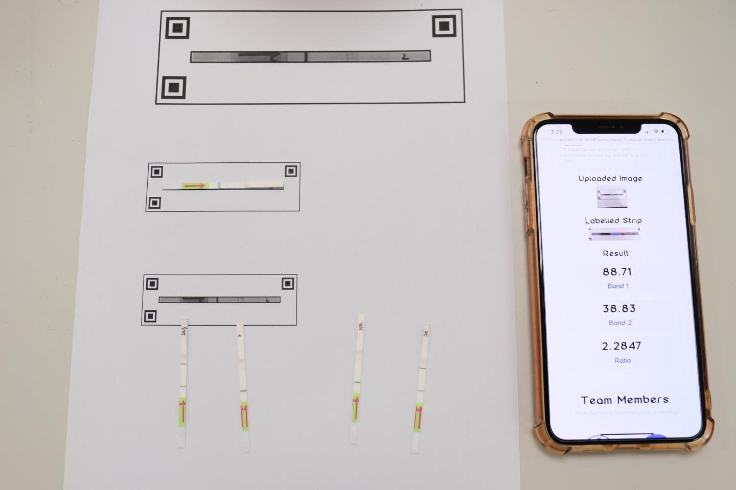 Le strisce di carta del nuovo test rapido VanGuard / Nature