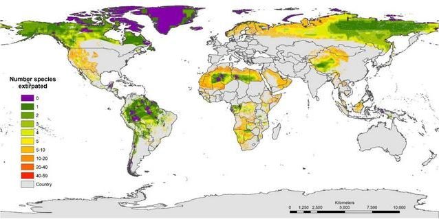 In viola le aree incontaminate. Credit: Frontiers in Forests and Global Change