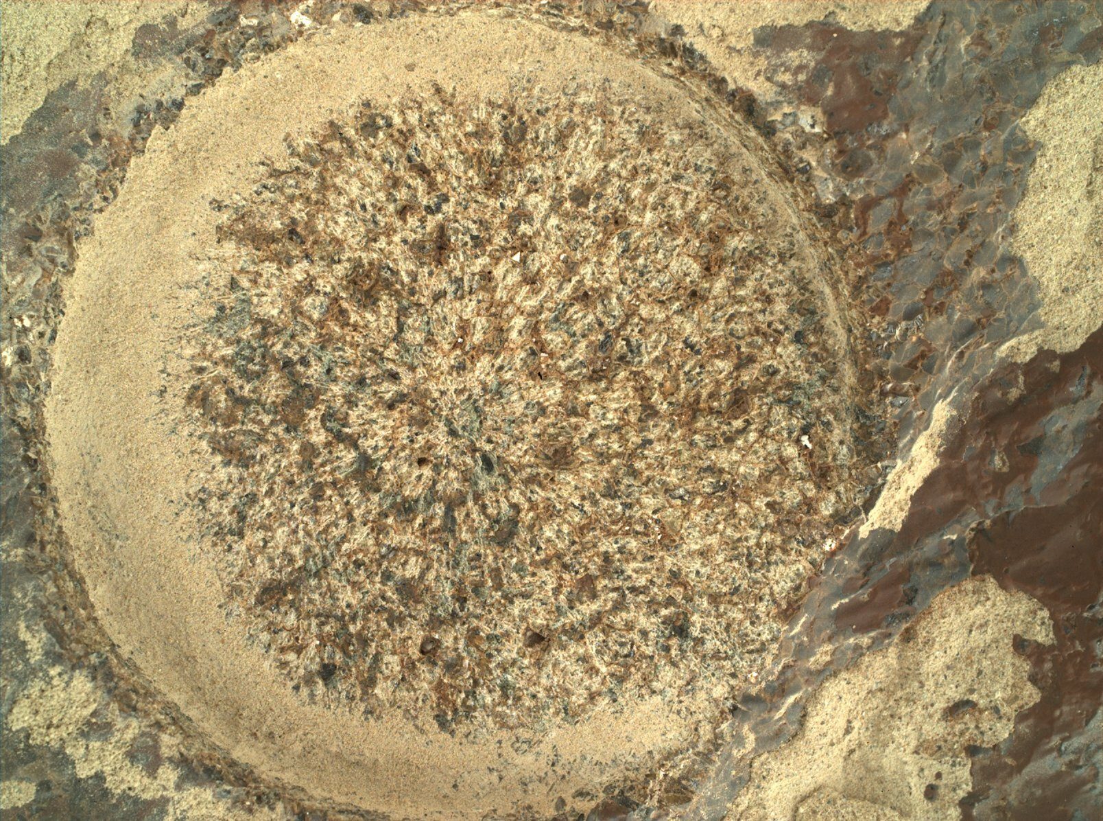 Il Rover Curiosity Ha Scoperto Ammoniaca E Un altra Molecola Organica 