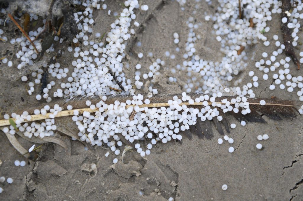 Nurdles attorno a una piuma
