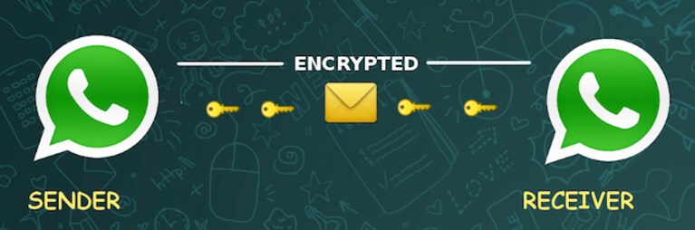 WhatsApp sicurezza Open Whisper System