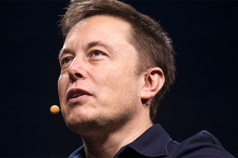 elon musk