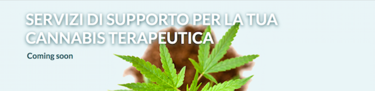 let's weed