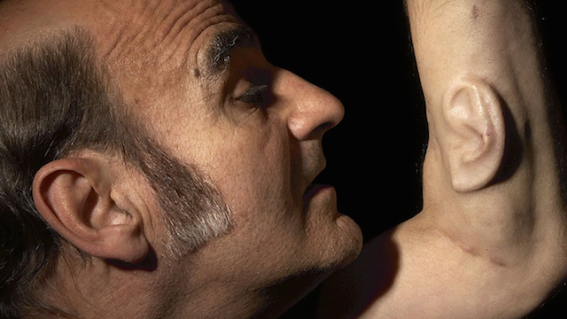 stelarc orecchio