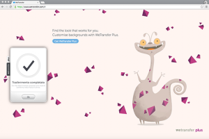 COME SI INVIA CON WETRANSFER visual data 6