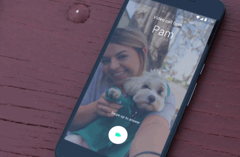 google-duo