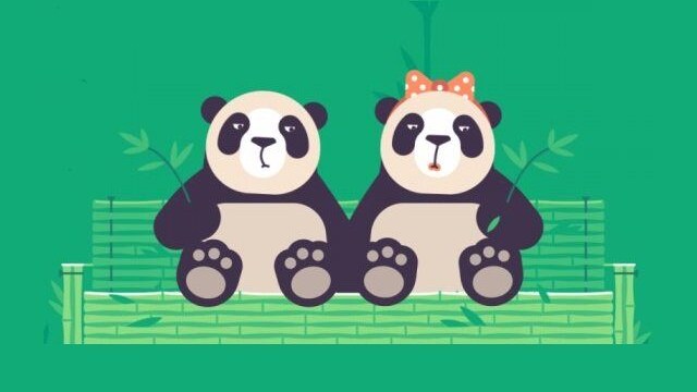 pornhub-porno-panda