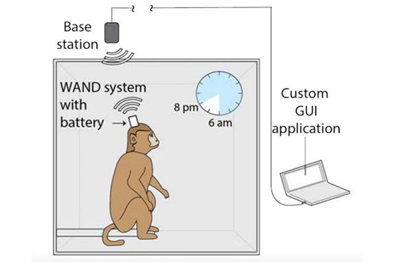 wand dispositivo wireless