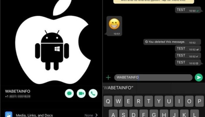 Su WhatsApp arriva la modalità notturna: perché fa bene agli occhi (e alla batteria)