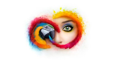 Immagine