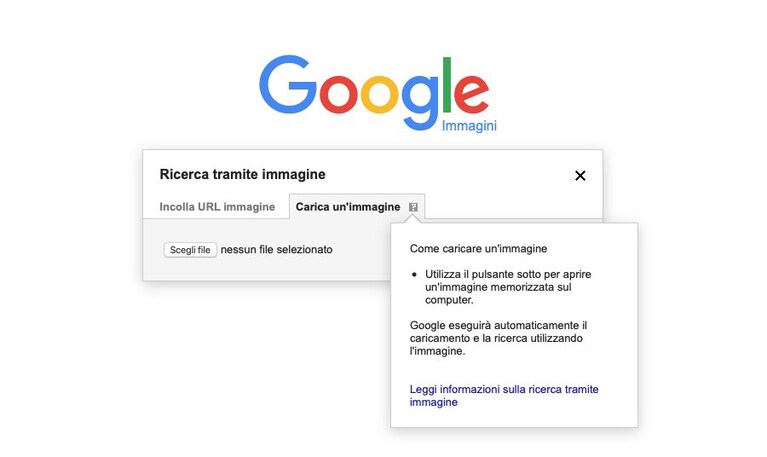 Immagine