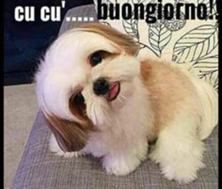 buongiorno e buona domenica