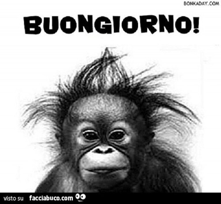 buongiorno e buona domenica