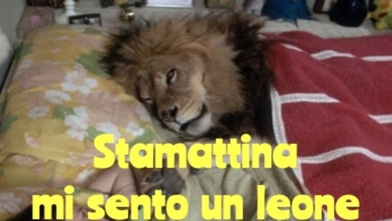 buongiorno e buona domenica