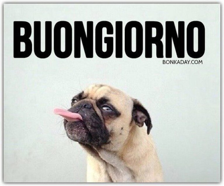 immagini buongiorno divertenti