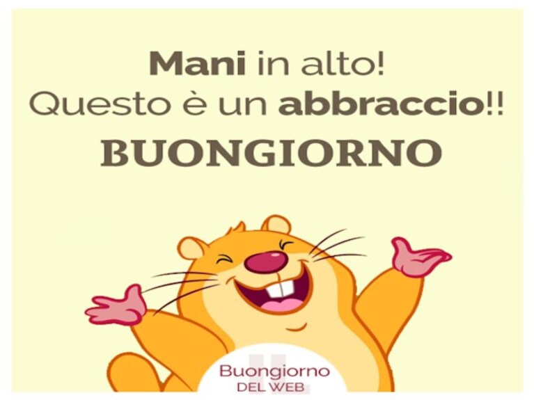 immagini buongiorno divertenti