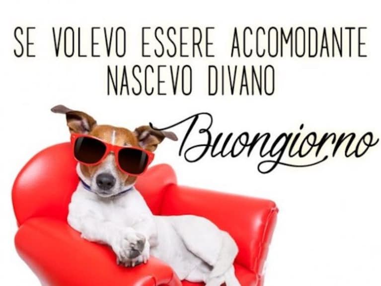 immagini buongiorno divertenti