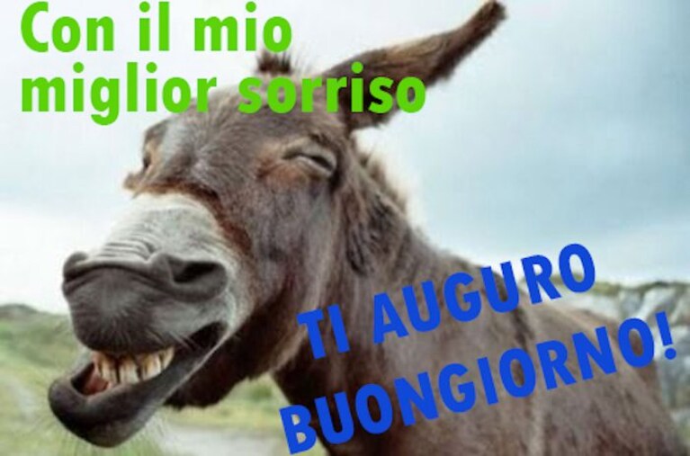 immagini buongiorno divertenti