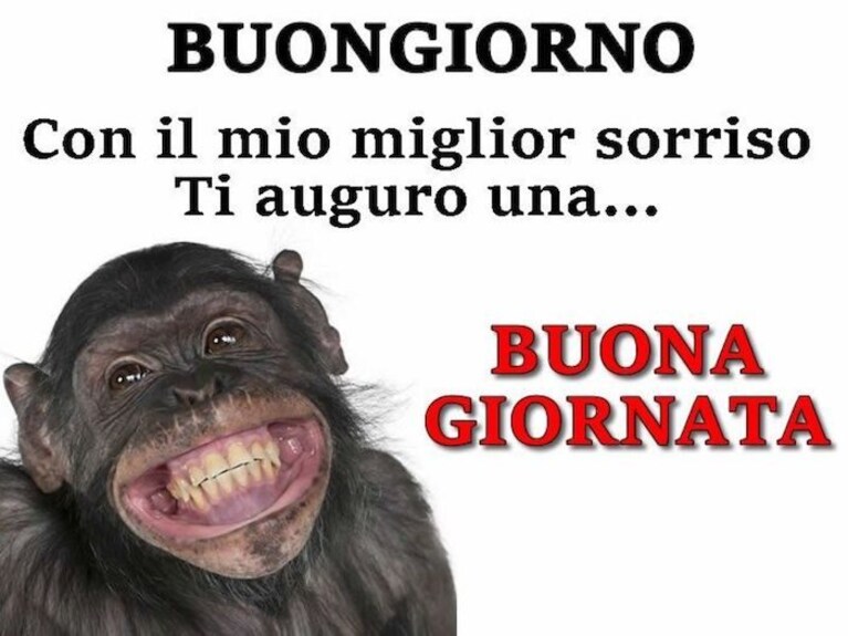 immagini buongiorno divertenti
