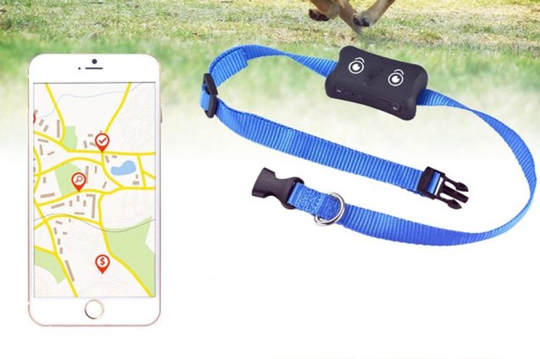 migliori gps per cani
