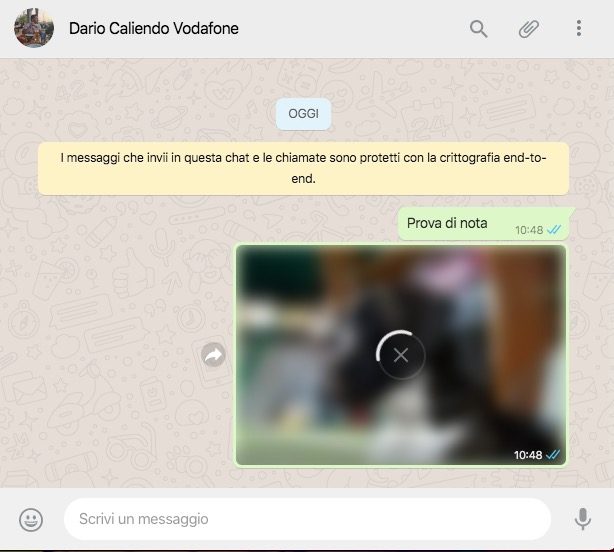 whatsapp web migliori trucchi