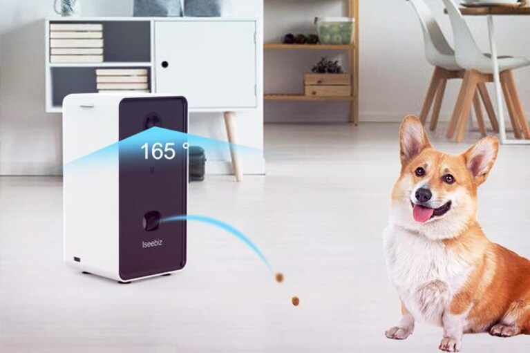 migliori videocamere per animali