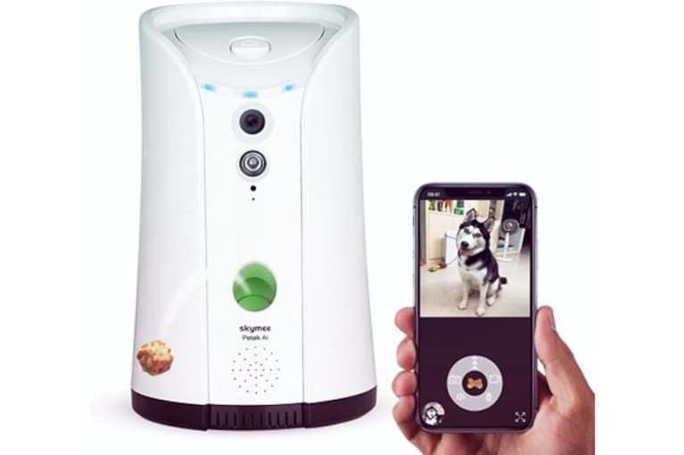 migliori videocamere per animali