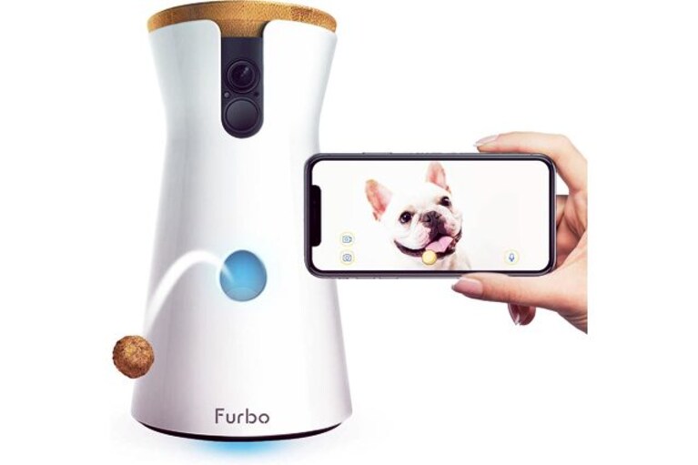 migliori videocamere per animali
