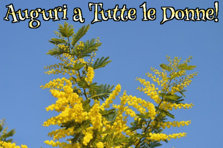 GIF festa delle donne