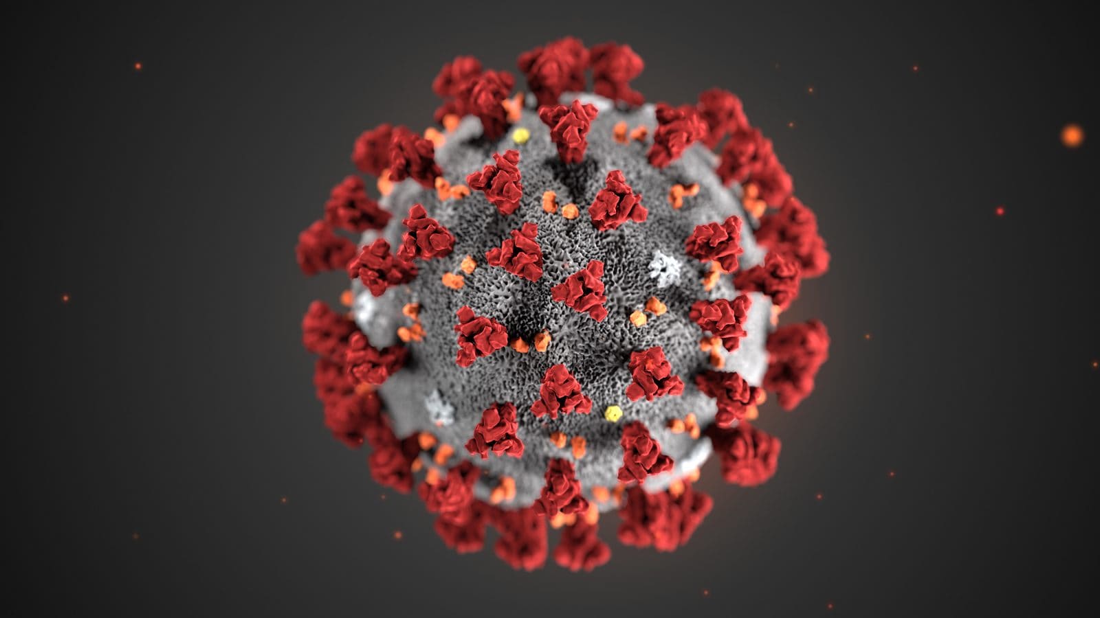 Puoi usare il tuo PC per aiutare i ricercatori a curare il coronavirus: ecco come