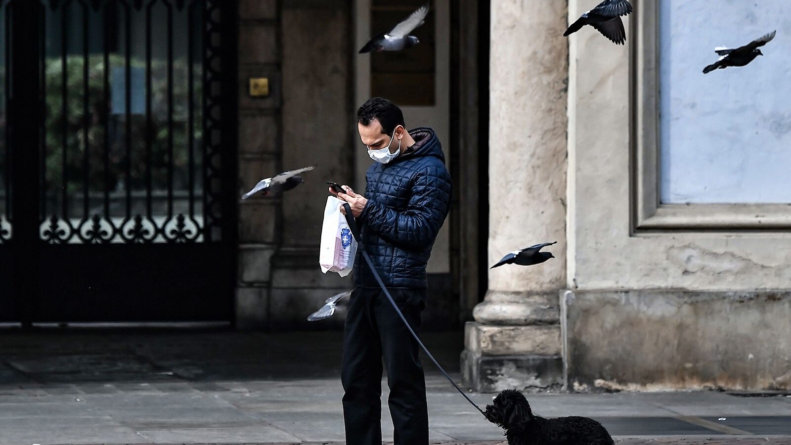 Immagine