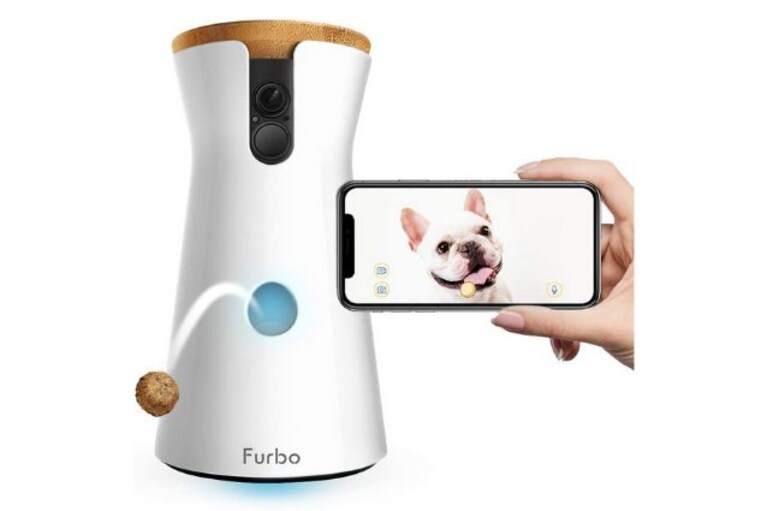 furbo videocamera per cani