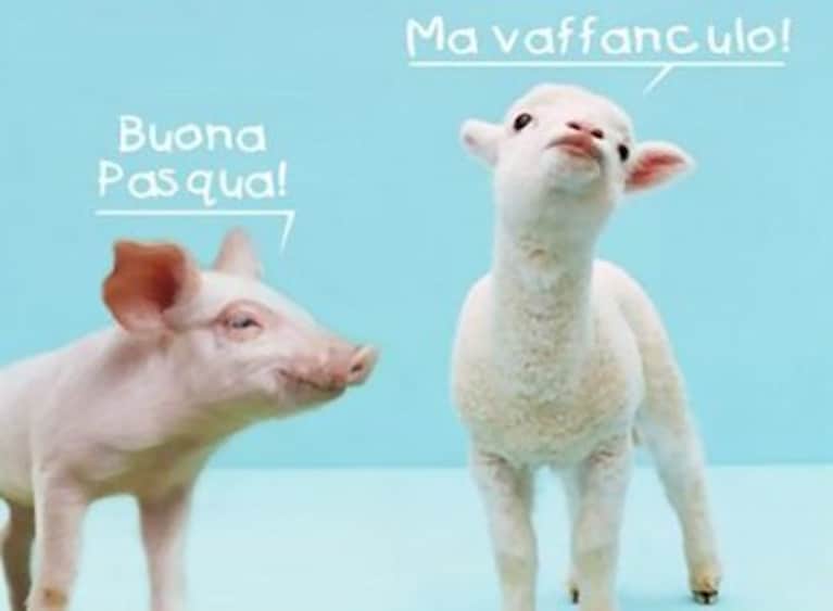 Immagine