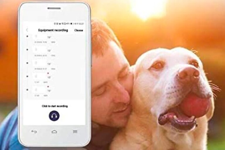 migliori accessori tech per cani