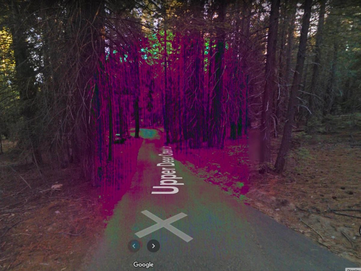 C'è una foresta "infestata" su Google Maps