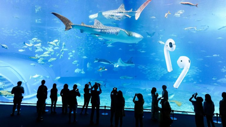 Cosa fare quando gli AirPods ti finiscono in acqua o si bagnano