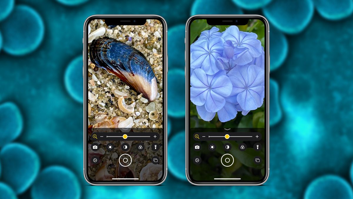 Il trucco per usare l'iPhone come una lente d'ingrandimento