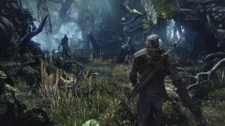 The Witcher 3