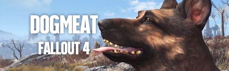 dogmeat fallout 4