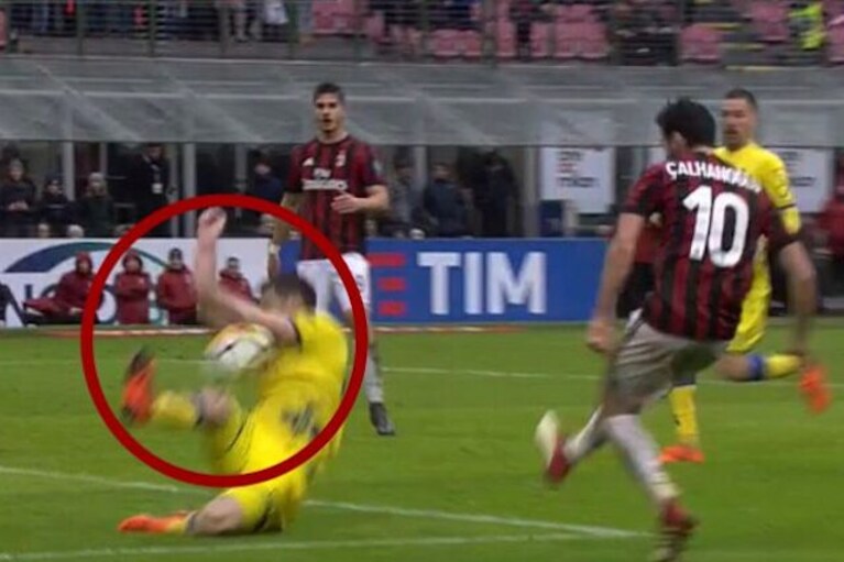 Immagine