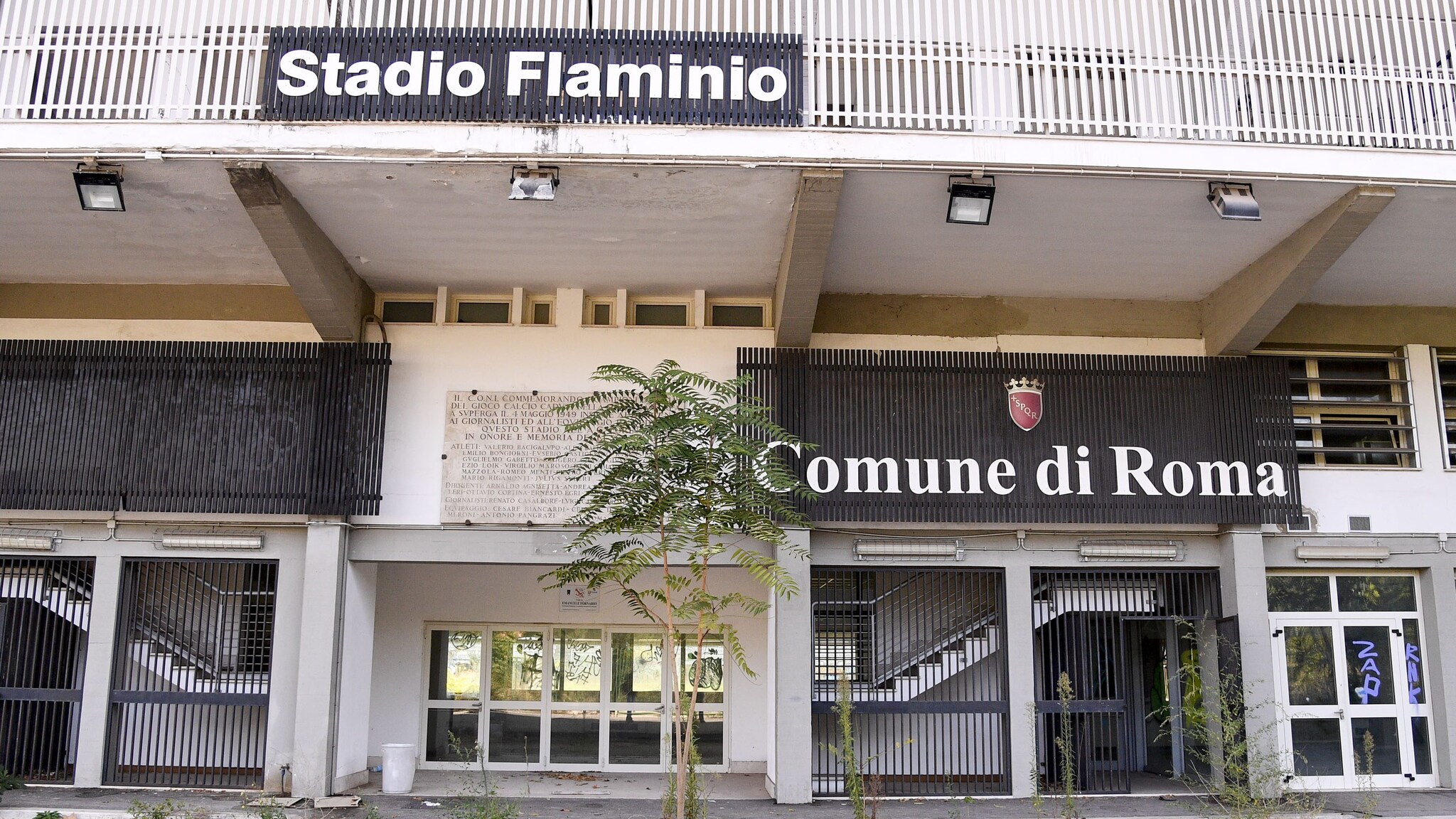 Immagine