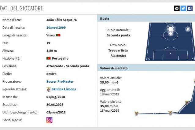 La scheda di Joao Felix. (transfermarkt.it)